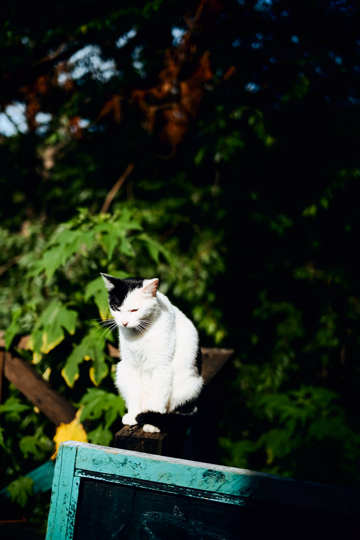 Đà Lạt — photo 10