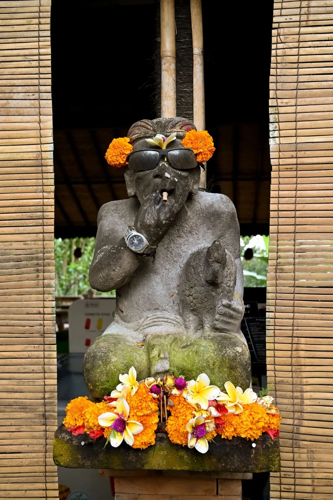 Bali — photo 14