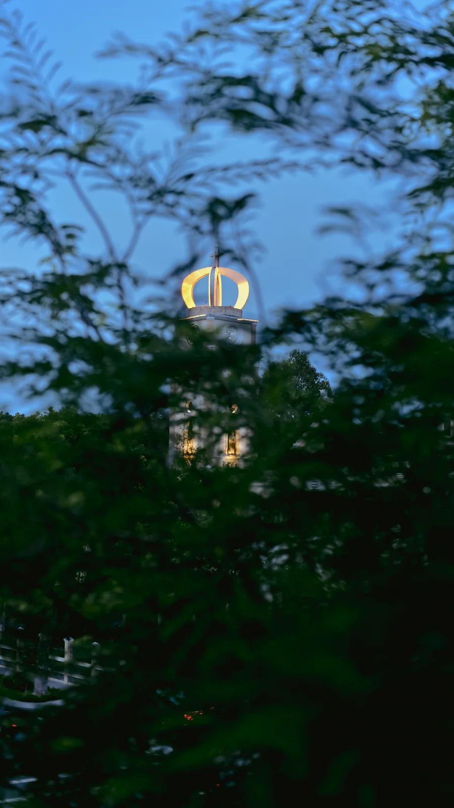 Illuminated golden crown and cross on cathedral bell tower framed through green leaves