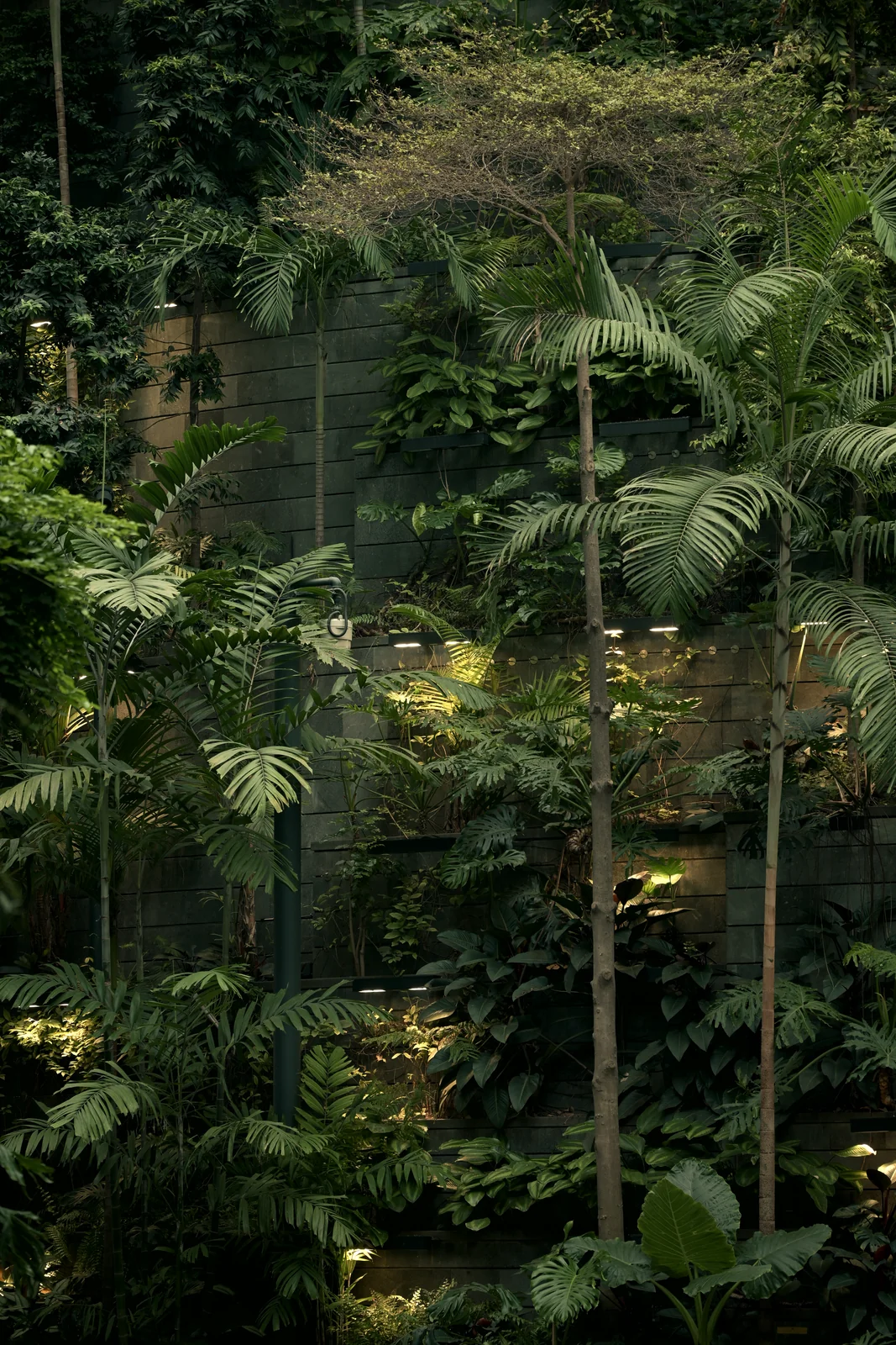 Jewel Changi Forest Valley lush terraced indoor tropical rainforest garden