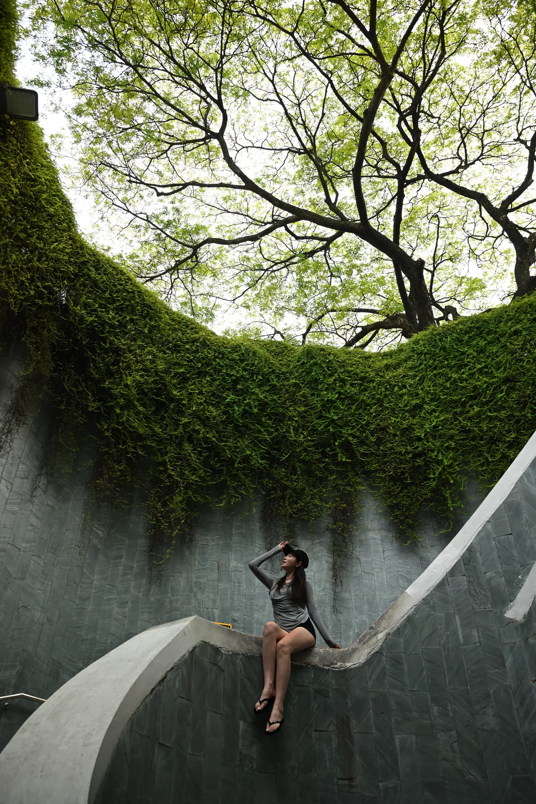 Fort Canning tree tunnel spiral staircase framed by lush overhead greenery