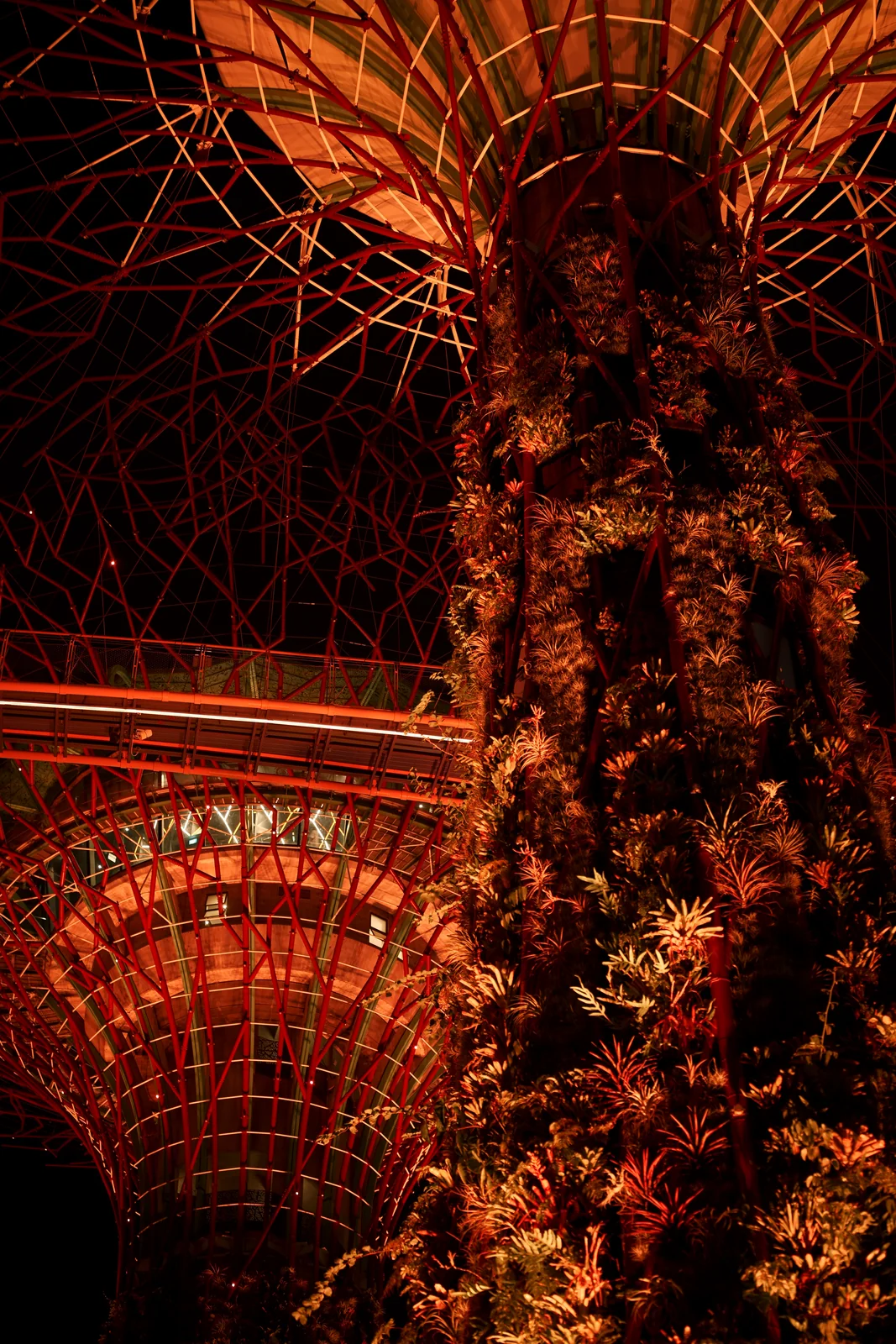 Supertree Grove vertical garden trunk wrapped in vibrant orange canopy lights