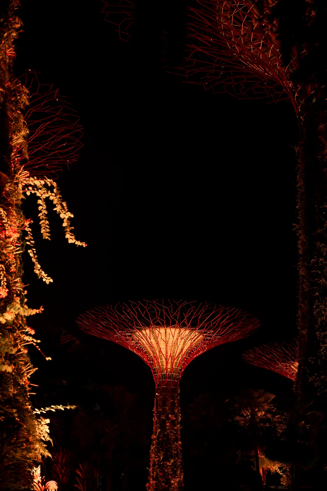Supertree vertical gardens glowing against midnight darkness