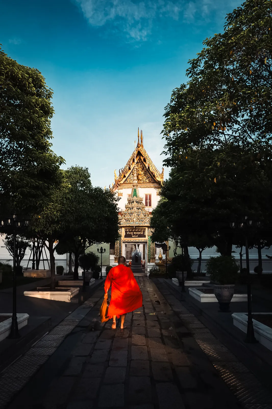 Buddhist monk in saffron robes walking toward temple entrance in golden morning light, Bangkok